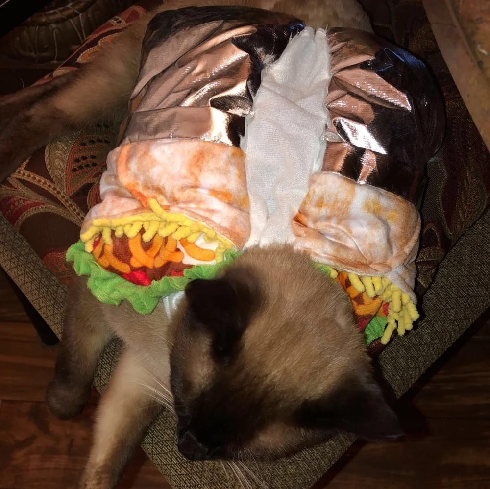 Pet taco costume